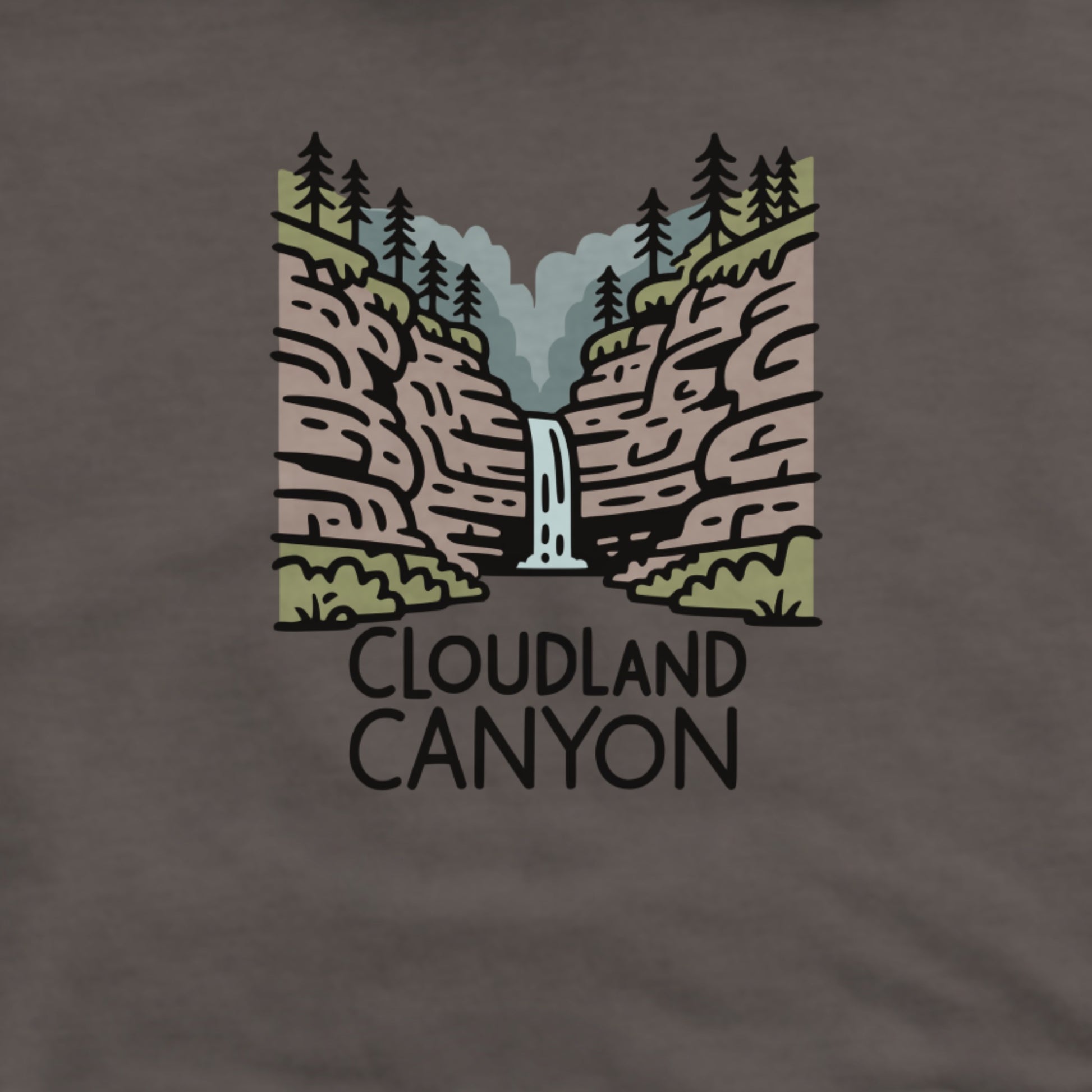 Cloudland Canyon State Park Hoodie Adventure and Outdoors Themed Hoodie