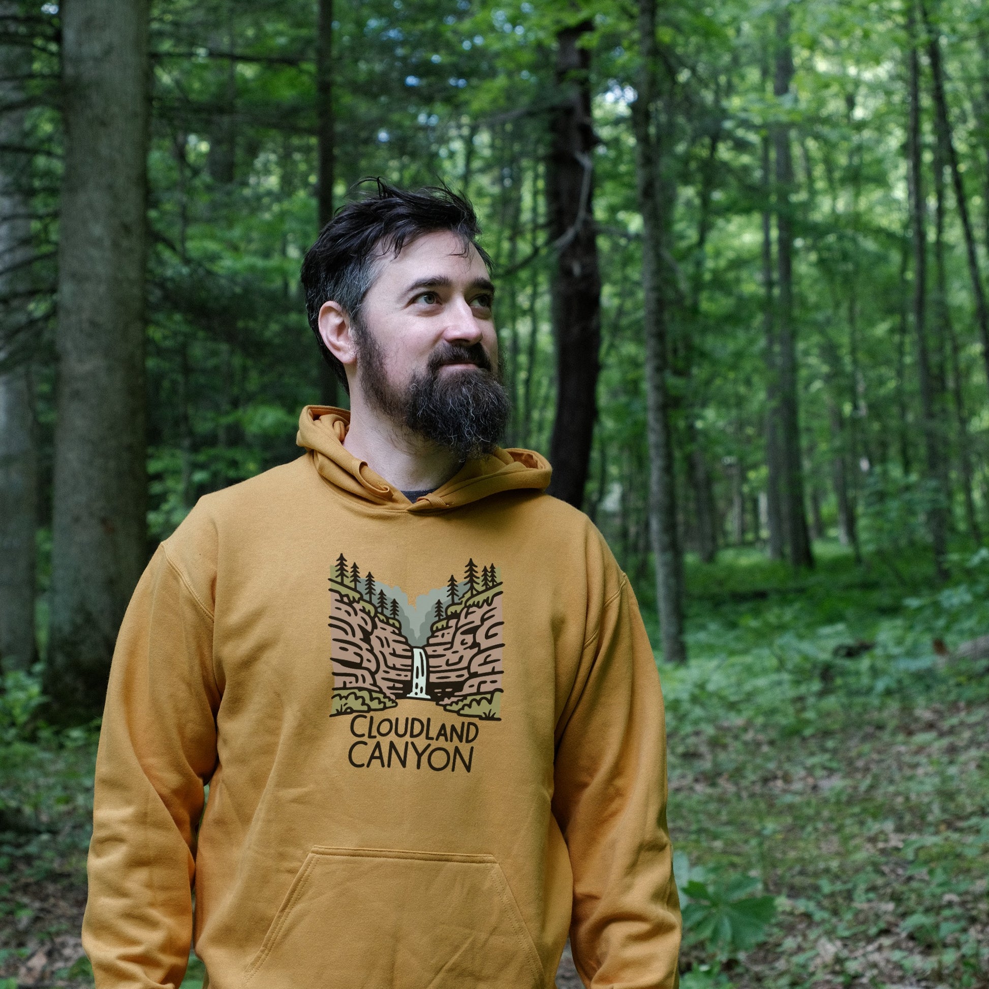 Cloudland Canyon State Park Hoodie Adventure and Outdoors Themed Hoodie