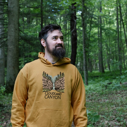 Cloudland Canyon State Park Hoodie Adventure and Outdoors Themed Hoodie