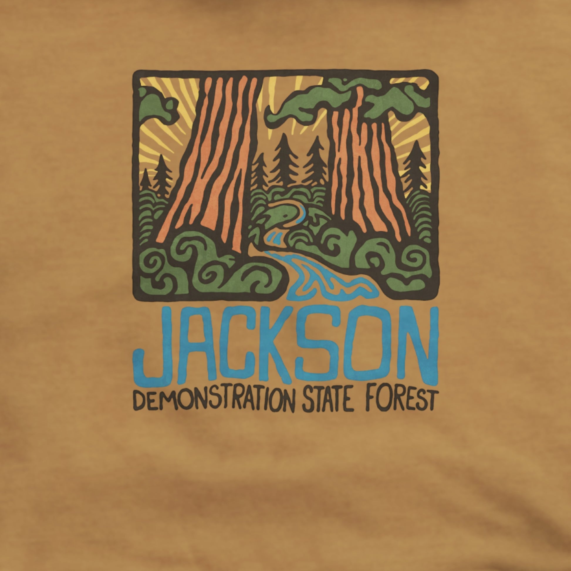 Jackson Demonstration State Forest Hoodie Adventure and Outdoors Themed Hoodie