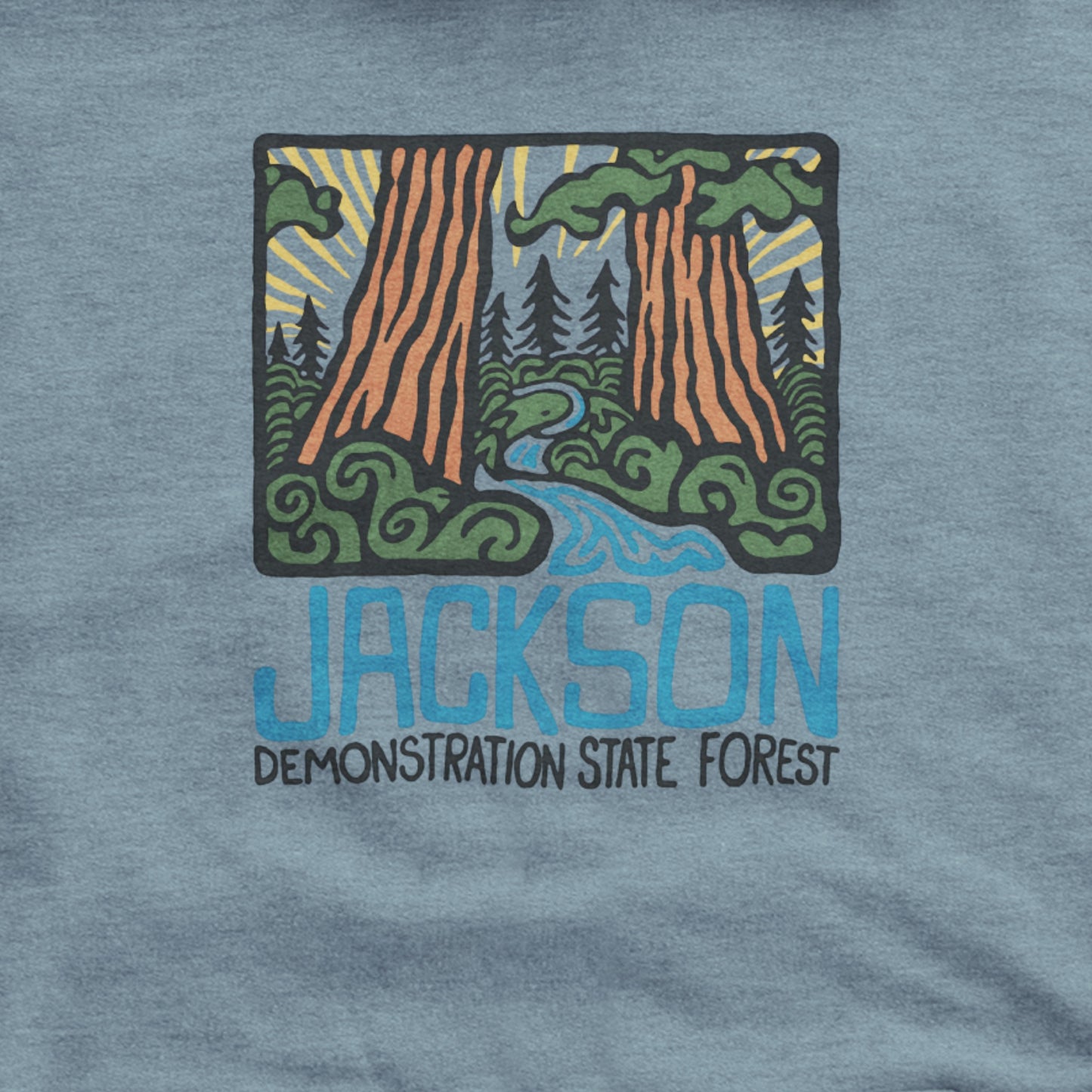 Jackson Demonstration State Forest Hoodie Adventure and Outdoors Themed Hoodie