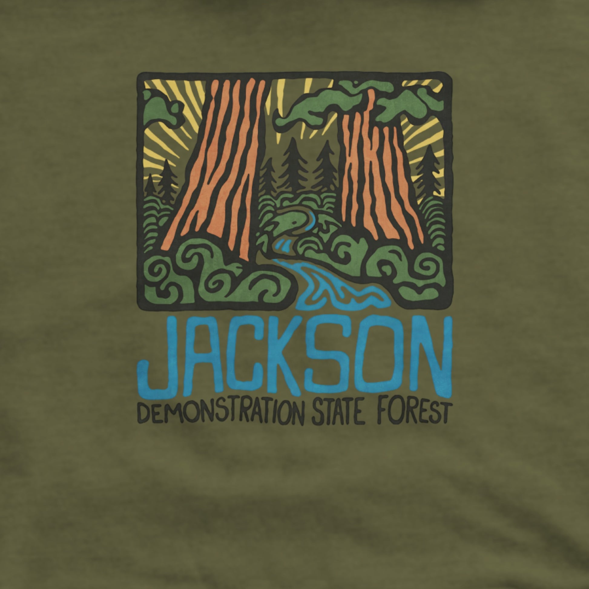 Jackson Demonstration State Forest Hoodie Adventure and Outdoors Themed Hoodie