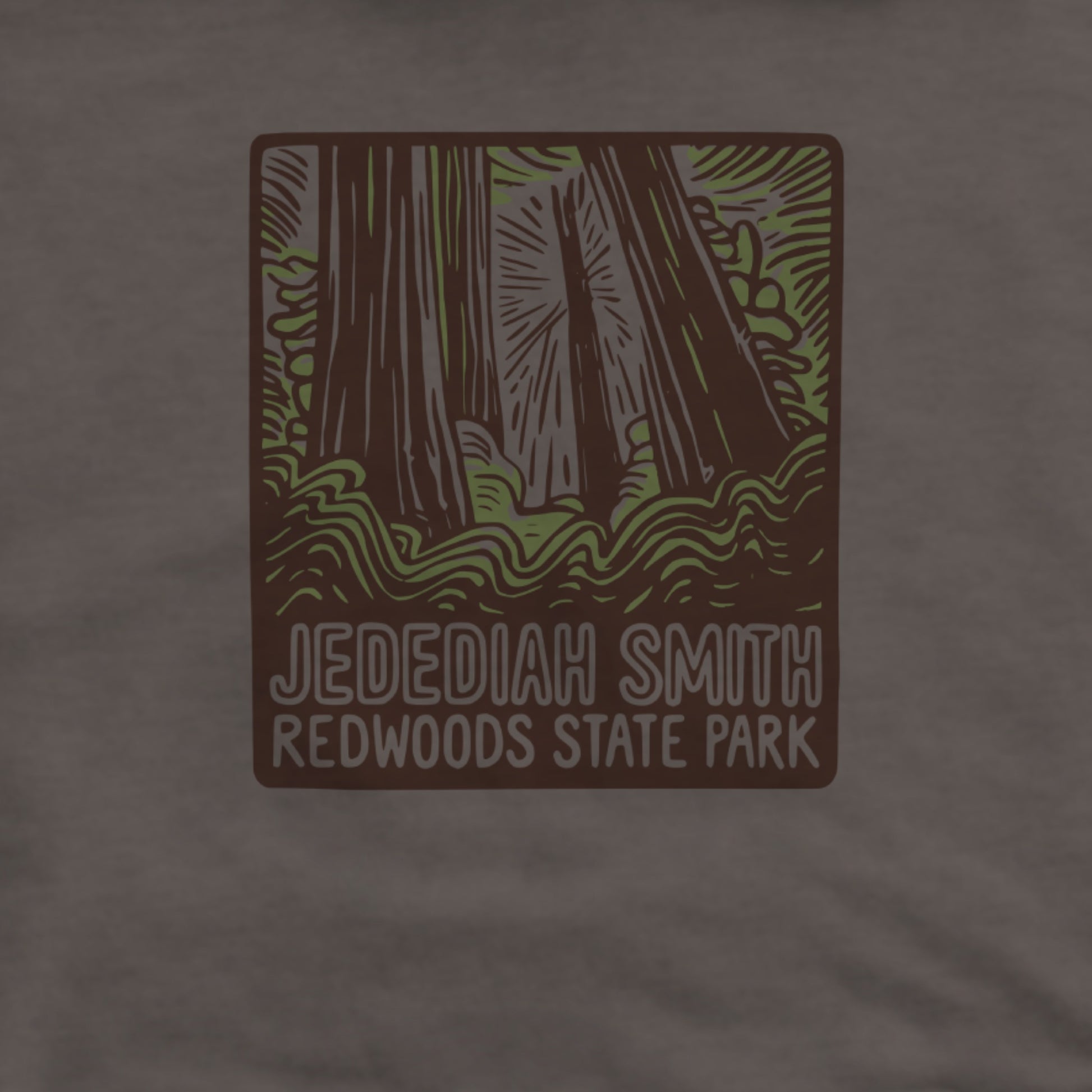 Jedediah Smith Redwoods State Park Hoodie Adventure and Outdoors Themed Hoodie