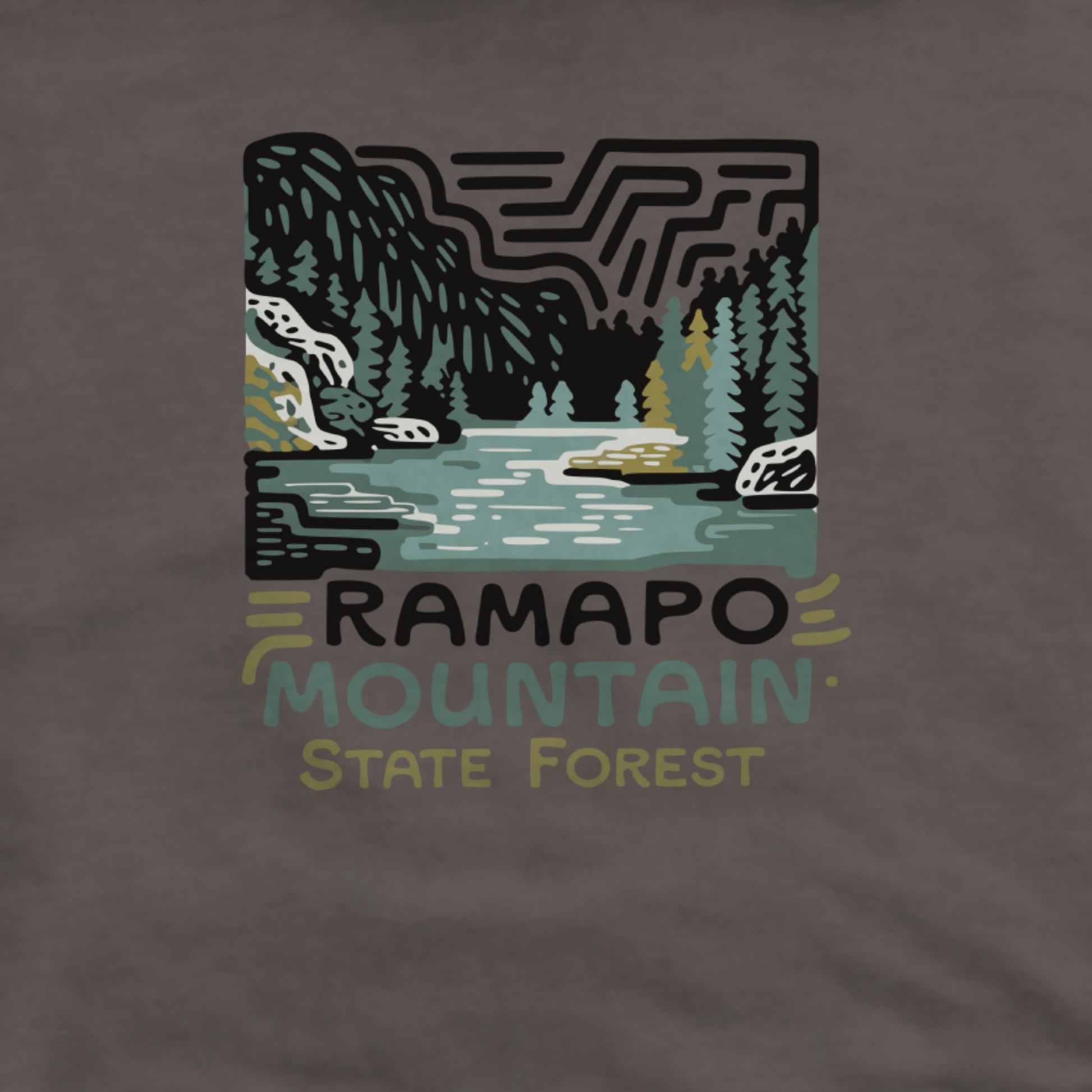 Ramapo Mountain State Forest Hoodie Adventure and Outdoors Themed Hoodie