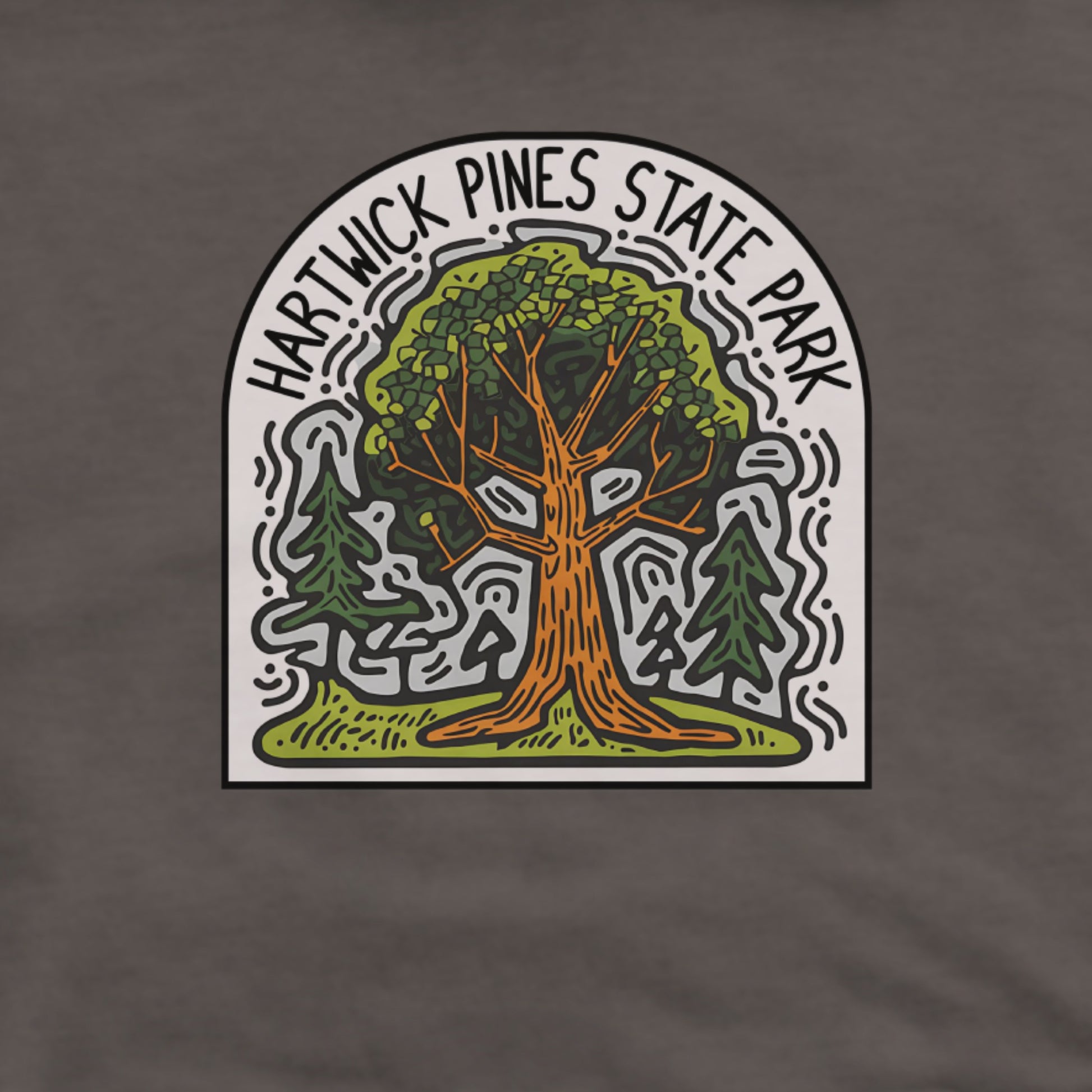 Hartwick Pines State Park Hoodie Adventure and Outdoors Themed Hoodie