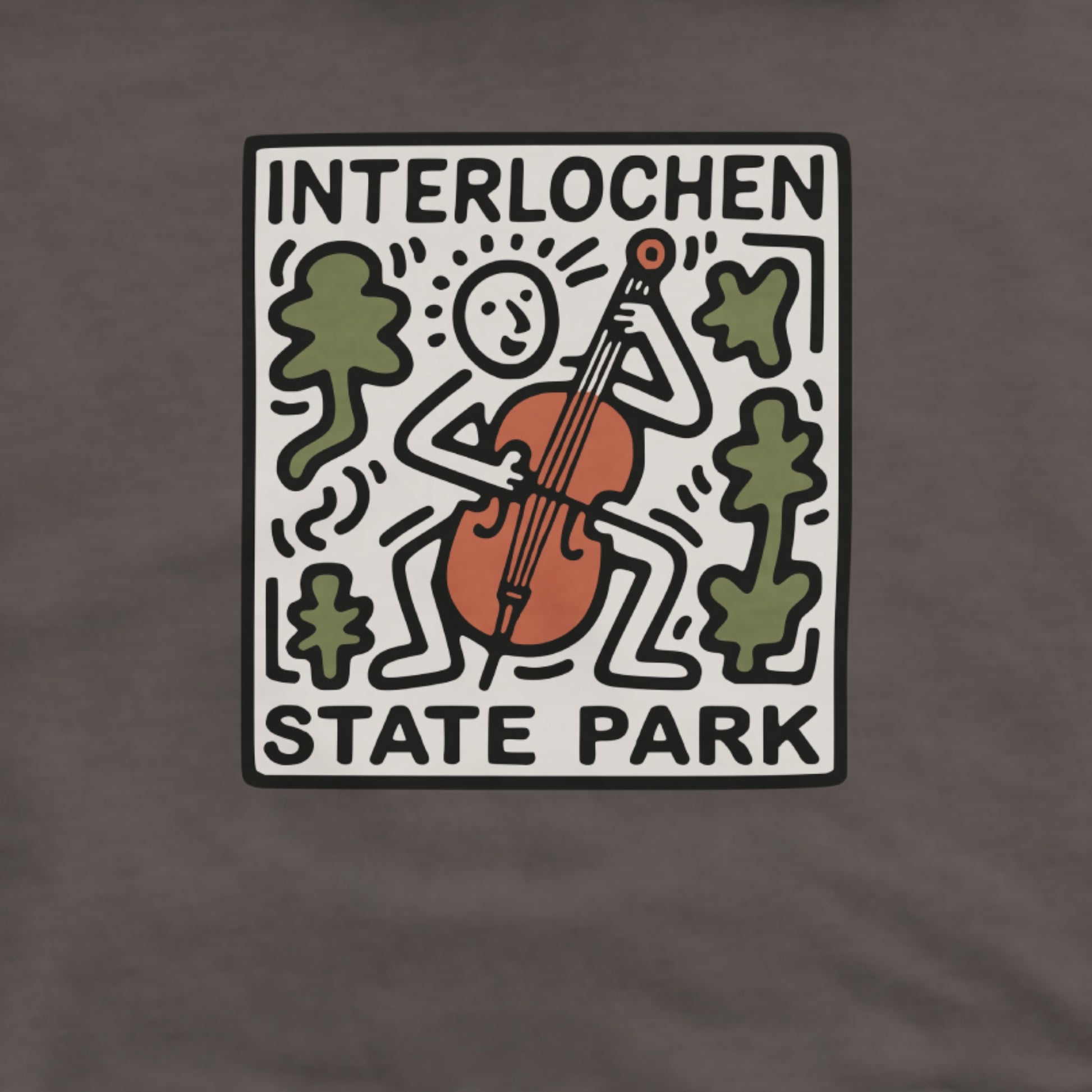 Interlochen State Park Hoodie Adventure and Outdoors Themed Hoodie