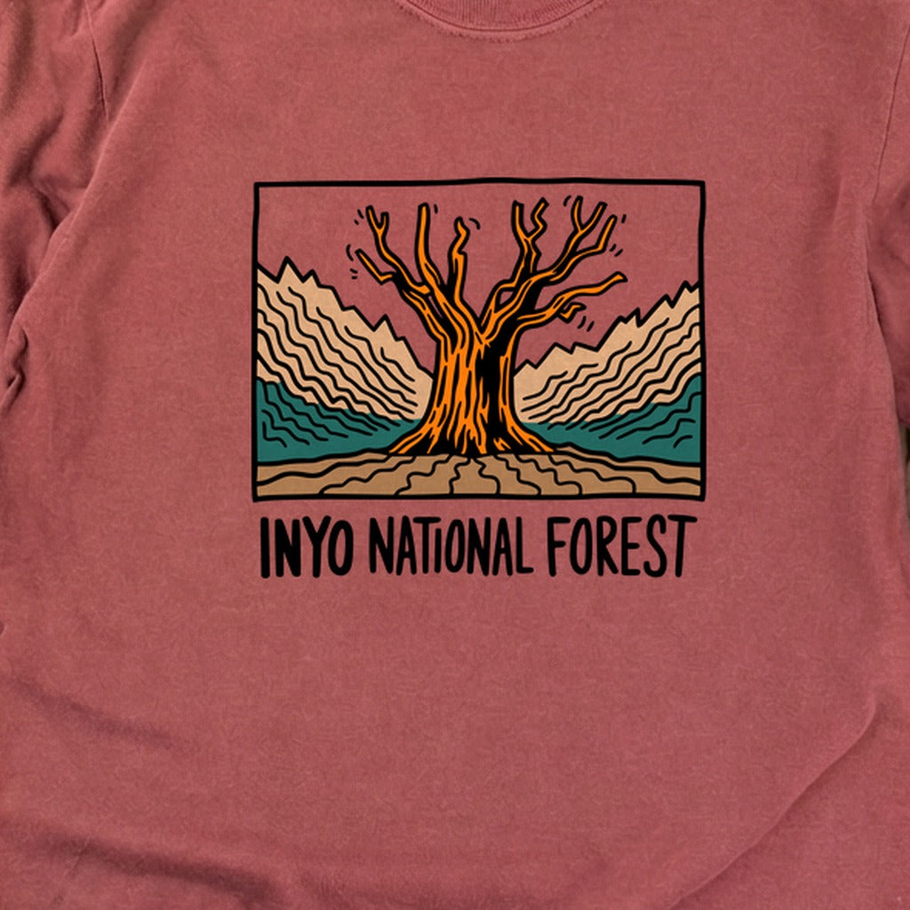 Inyo National Forest Cotton Long Sleeve