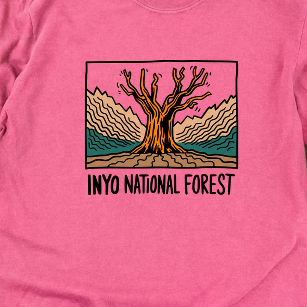Inyo National Forest Cotton Long Sleeve