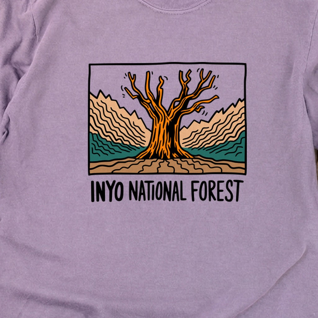 Inyo National Forest Cotton Long Sleeve