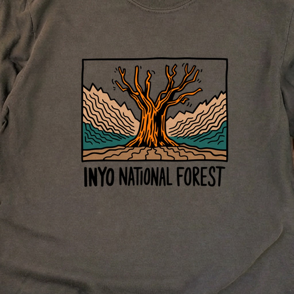 Inyo National Forest Cotton Long Sleeve