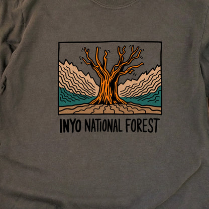Inyo National Forest Cotton Long Sleeve