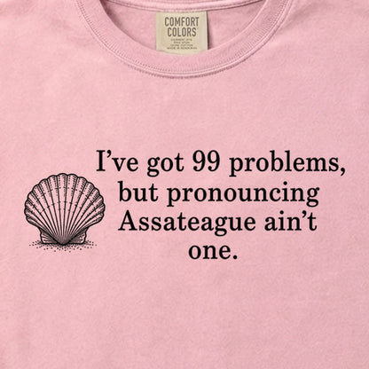 99 Problems Assateague Ain't One Cotton T-Shirt