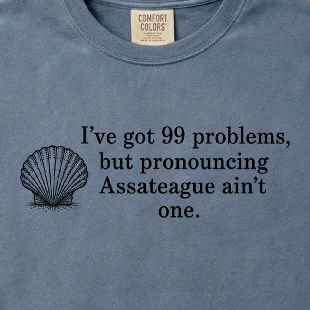 99 Problems Assateague Ain't One Cotton T-Shirt