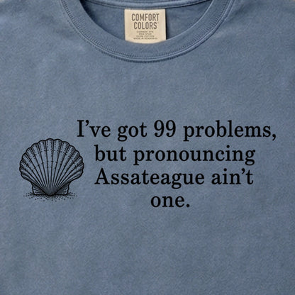 99 Problems Assateague Ain't One Cotton T-Shirt