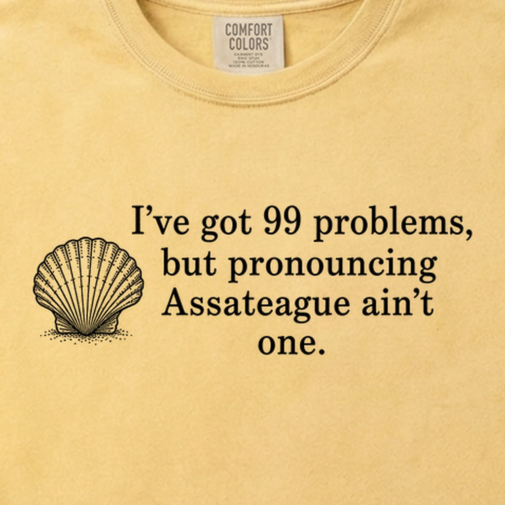 99 Problems Assateague Ain't One Cotton T-Shirt