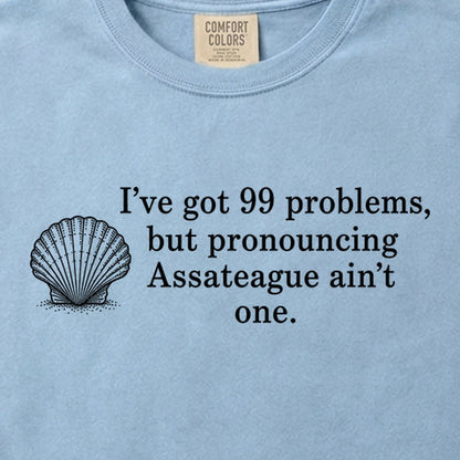 99 Problems Assateague Ain't One Cotton T-Shirt