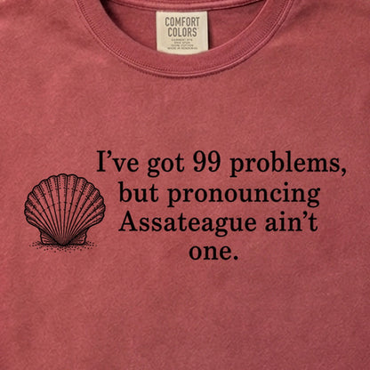 99 Problems Assateague Ain't One Cotton T-Shirt
