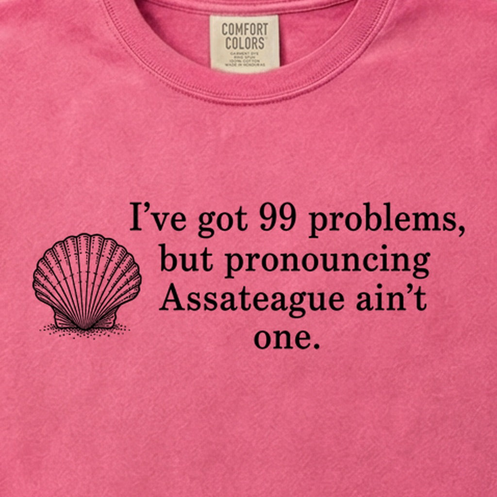 99 Problems Assateague Ain't One Cotton T-Shirt
