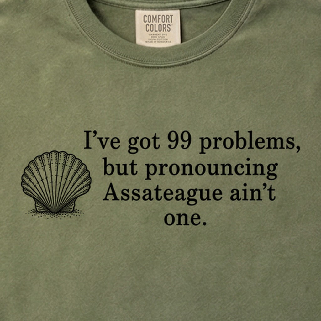 99 Problems Assateague Ain't One Cotton T-Shirt