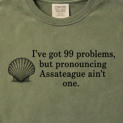 99 Problems Assateague Ain't One Cotton T-Shirt