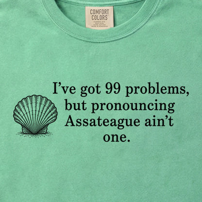 99 Problems Assateague Ain't One Cotton T-Shirt