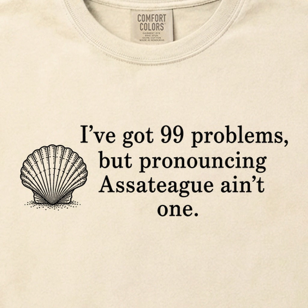 99 Problems Assateague Ain't One Cotton T-Shirt