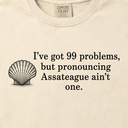 99 Problems Assateague Ain't One Cotton T-Shirt