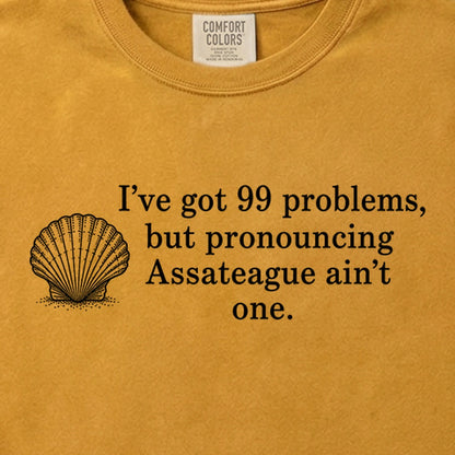 99 Problems Assateague Ain't One Cotton T-Shirt