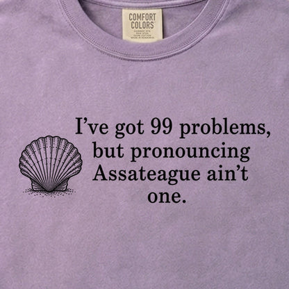 99 Problems Assateague Ain't One Cotton T-Shirt