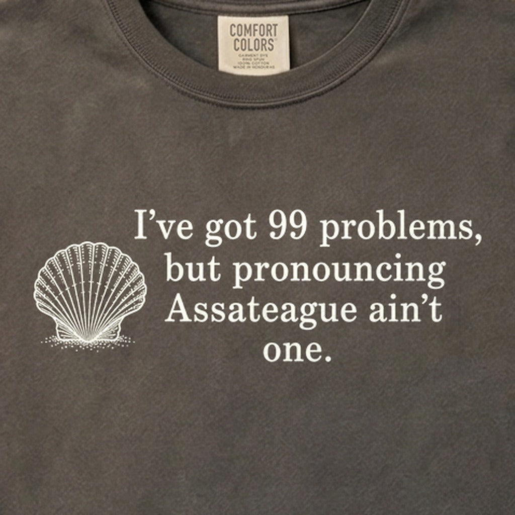 99 Problems Assateague Ain't One Cotton T-Shirt