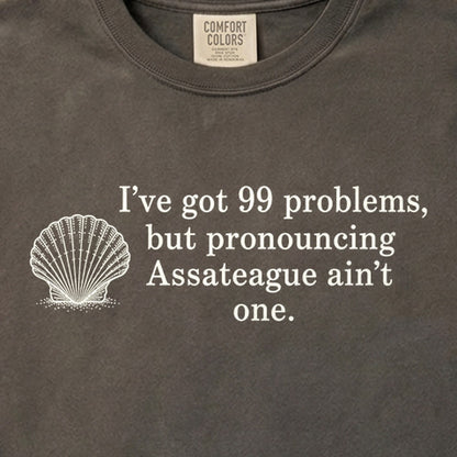 99 Problems Assateague Ain't One Cotton T-Shirt