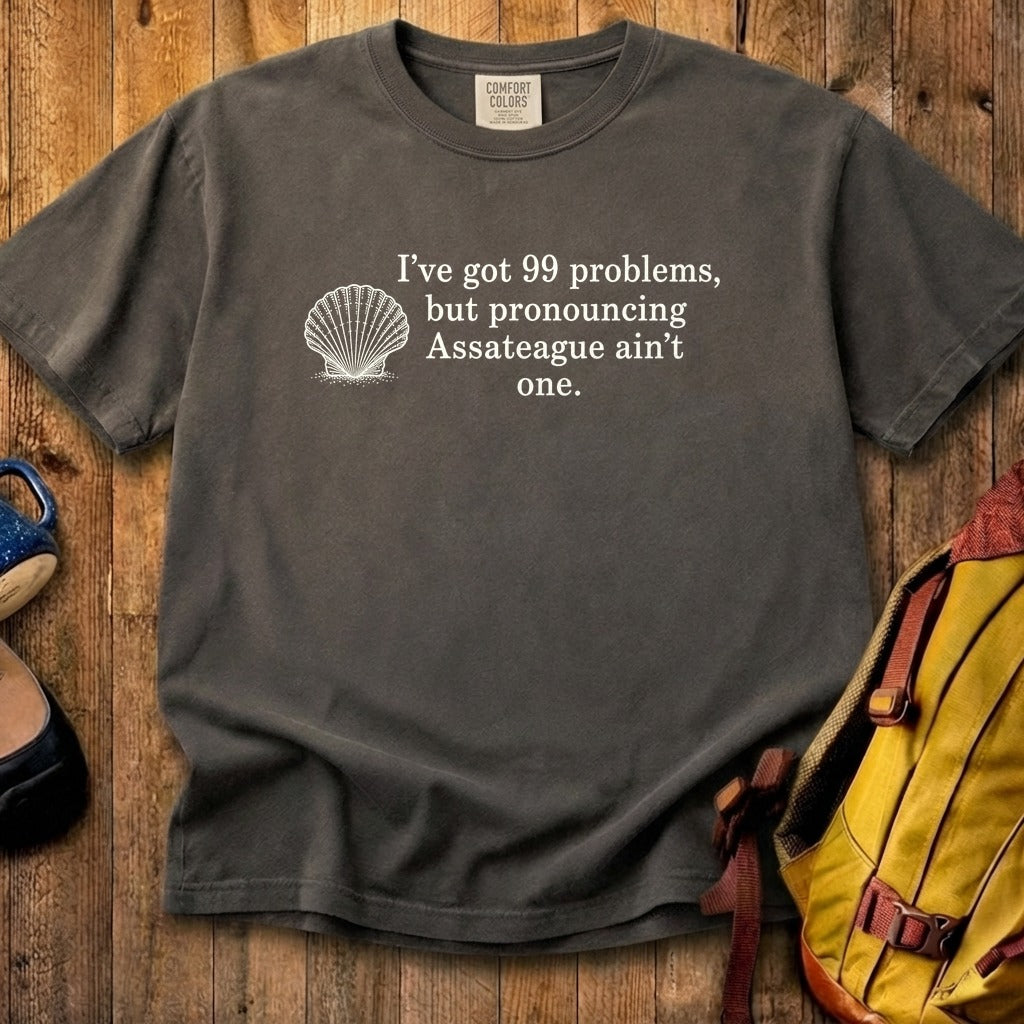 99 Problems Assateague Ain't One Cotton T-Shirt