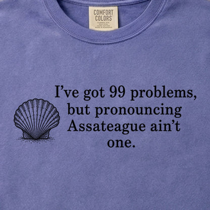 99 Problems Assateague Ain't One Cotton T-Shirt