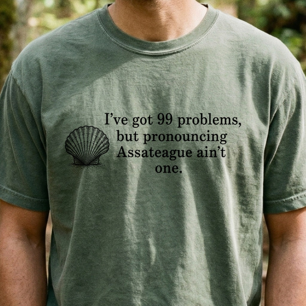 99 Problems Assateague Ain't One Cotton T-Shirt