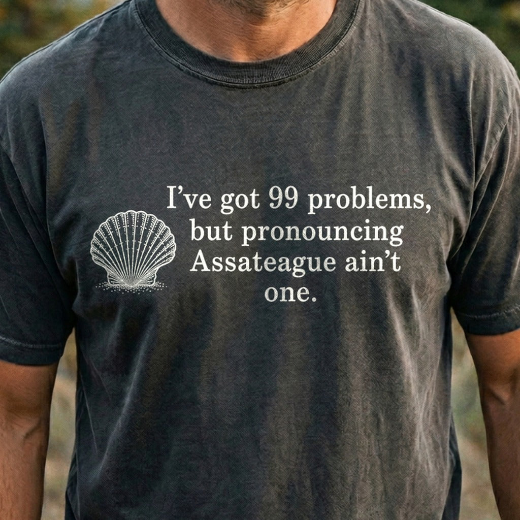 99 Problems Assateague Ain't One Cotton T-Shirt