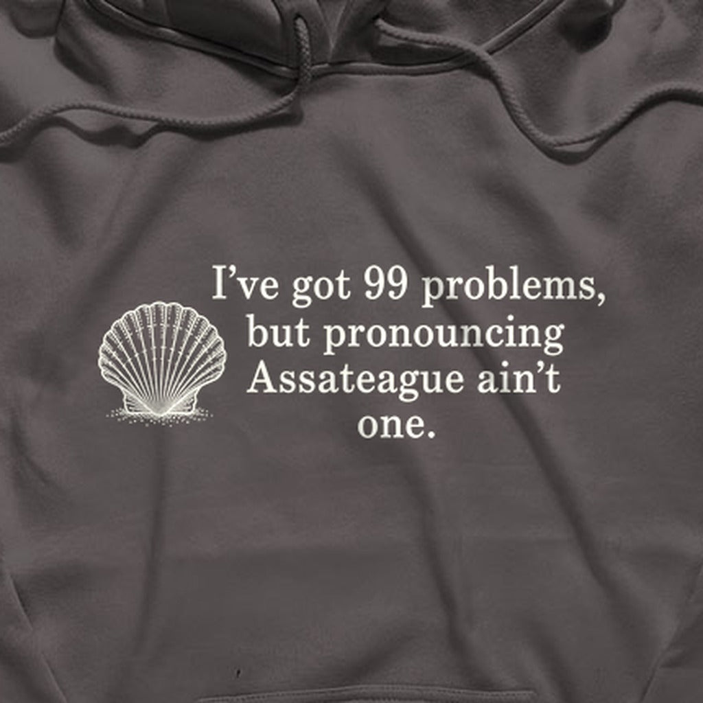 99 Problems Assateague Ain't One Hoodie