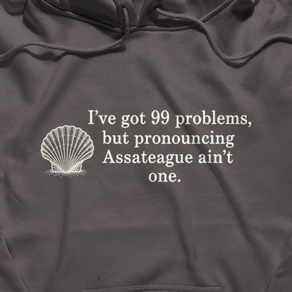 99 Problems Assateague Ain't One Hoodie