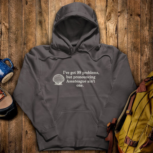 99 Problems Assateague Ain't One Hoodie