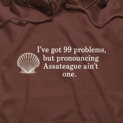 99 Problems Assateague Ain't One Hoodie