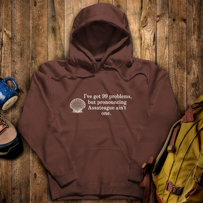 99 Problems Assateague Ain't One Hoodie