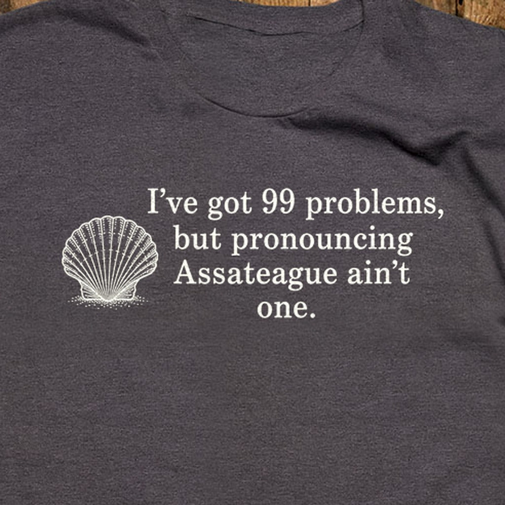 99 Problems Assateague Ain't One T-Shirt