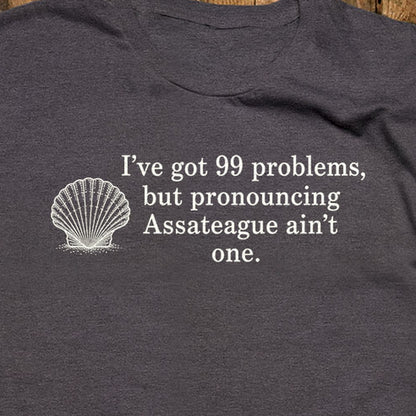 99 Problems Assateague Ain't One T-Shirt