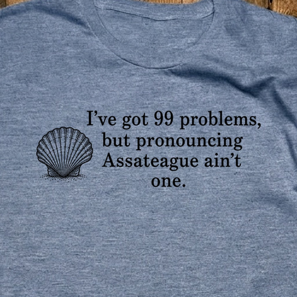 99 Problems Assateague Ain't One T-Shirt