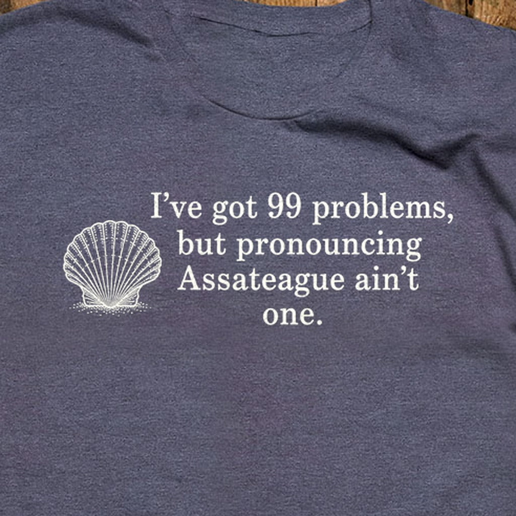 99 Problems Assateague Ain't One T-Shirt