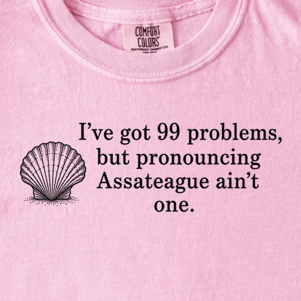 99 Problems Assateague Ain't One Kids Cotton T-Shirt