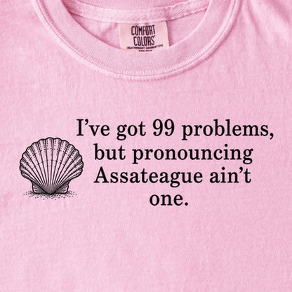99 Problems Assateague Ain't One Kids Cotton T-Shirt