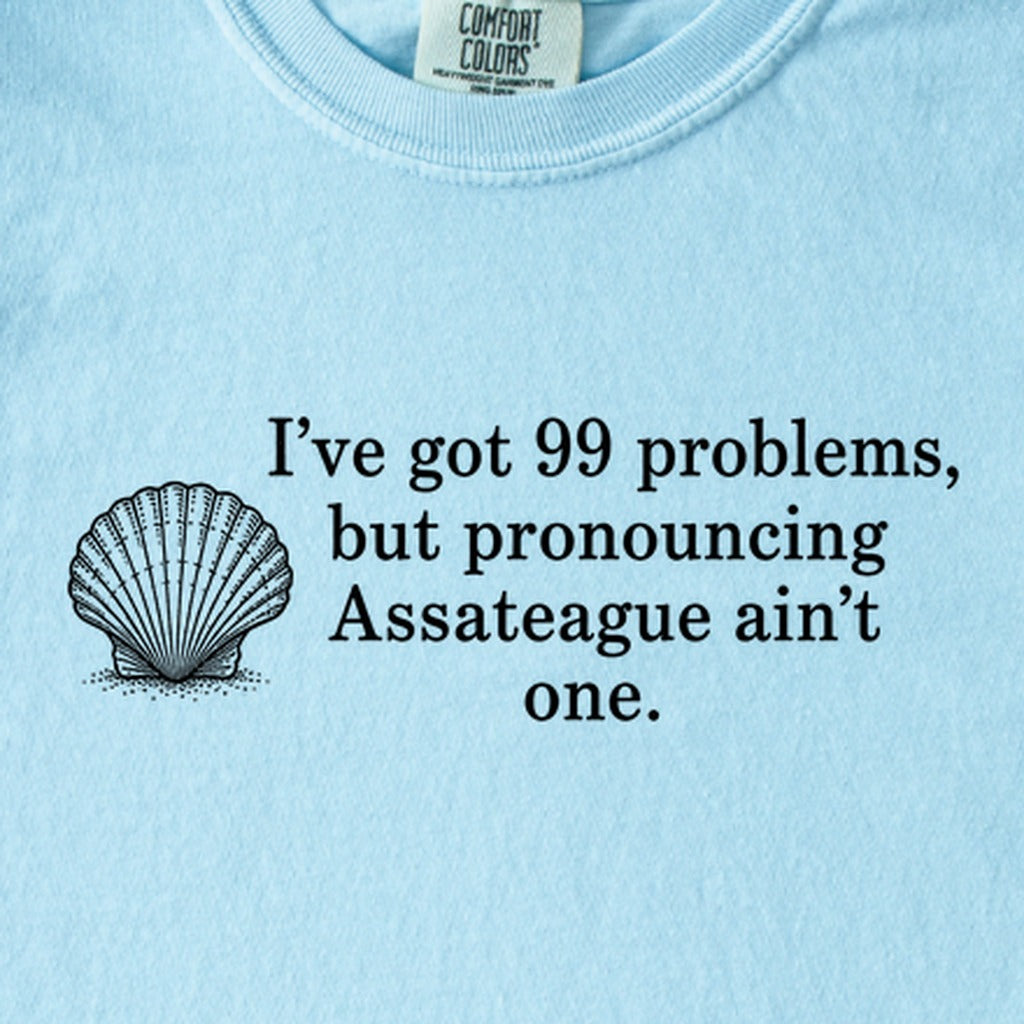 99 Problems Assateague Ain't One Kids Cotton T-Shirt