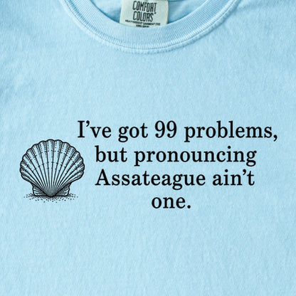99 Problems Assateague Ain't One Kids Cotton T-Shirt