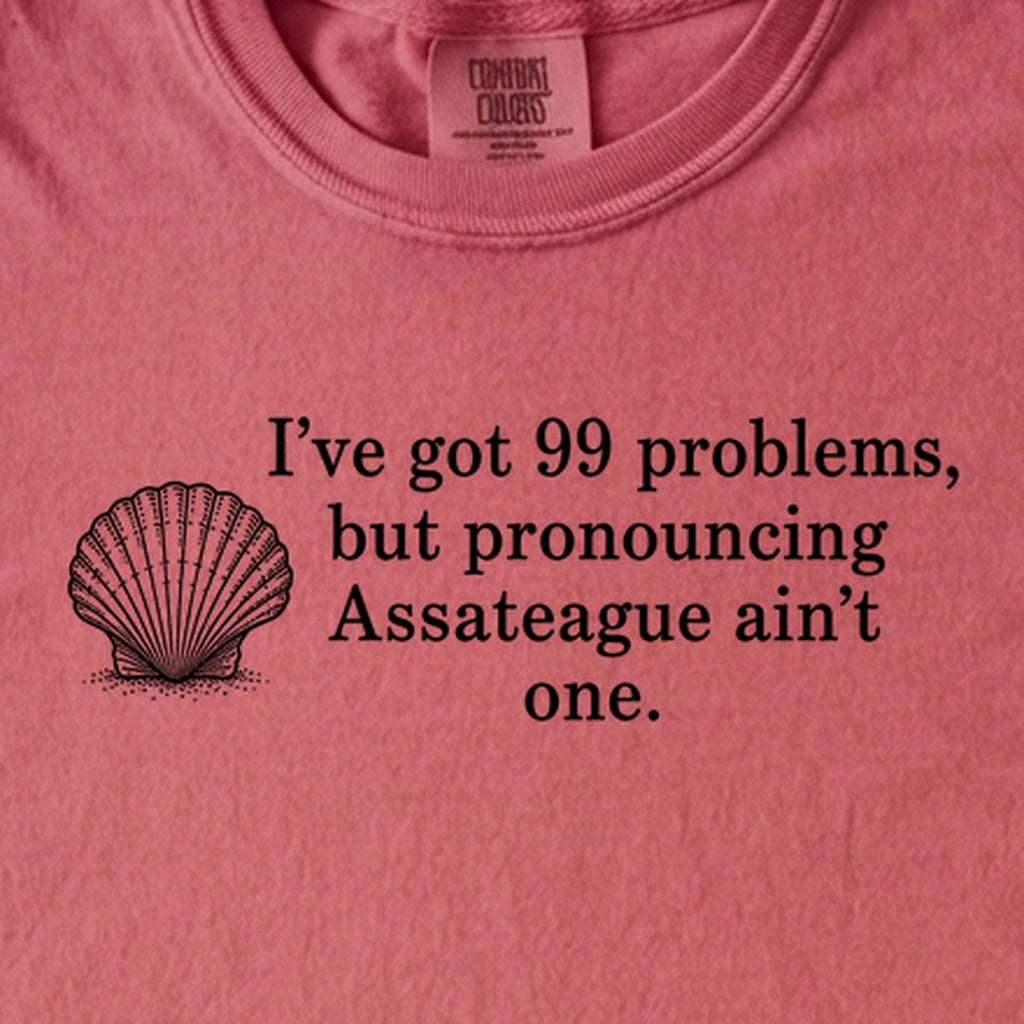 99 Problems Assateague Ain't One Kids Cotton T-Shirt