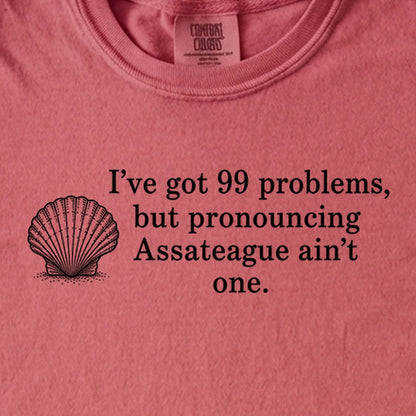 99 Problems Assateague Ain't One Kids Cotton T-Shirt